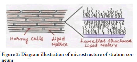 systematic-pharmacy-microstructure