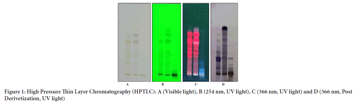 Chromatography