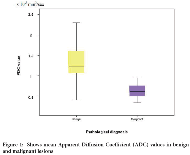 Coefficient