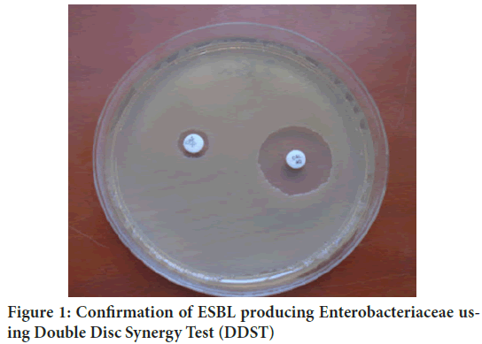 Enterobacteriaceae