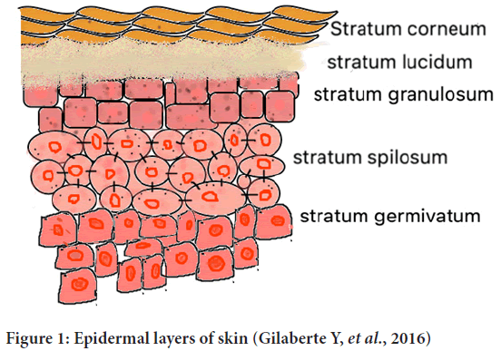 Epidermal