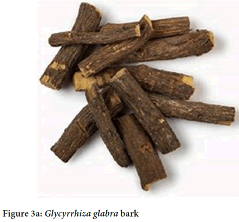 Glycyrrhiza