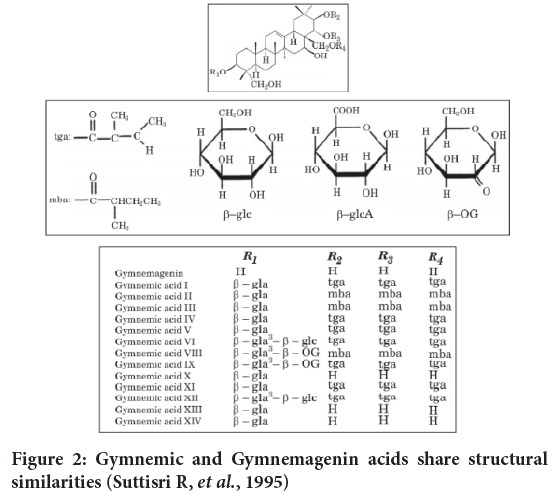 Gymnemic