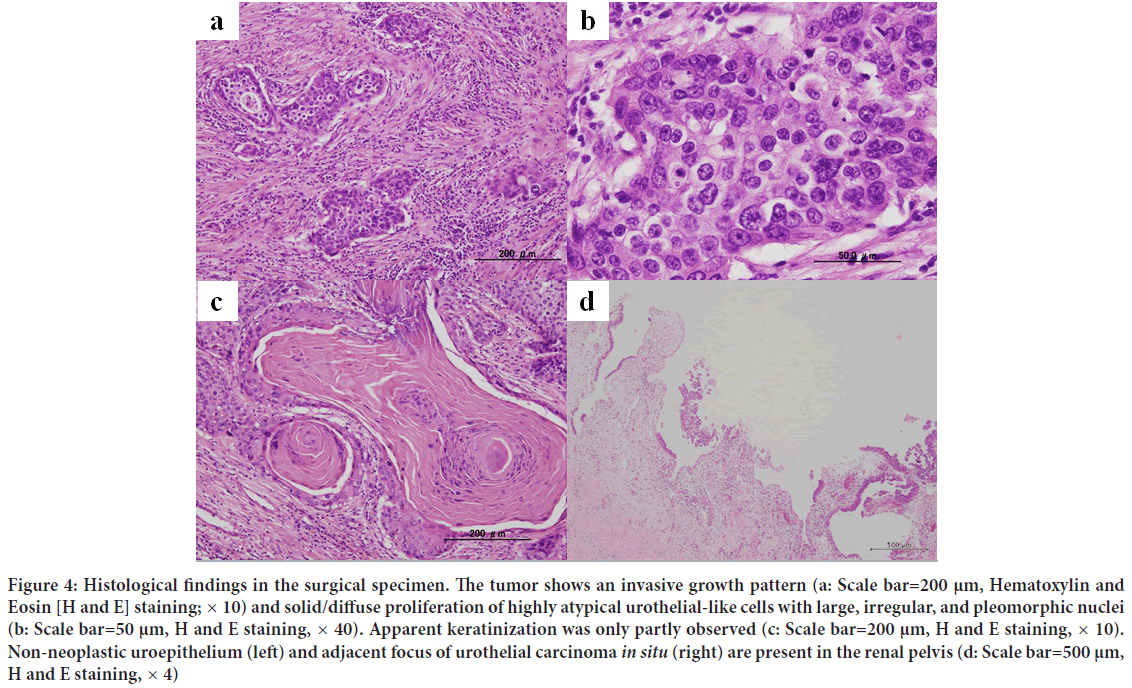 Histological