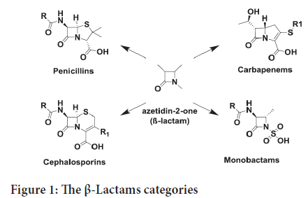 Lactams