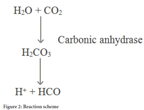 Reaction