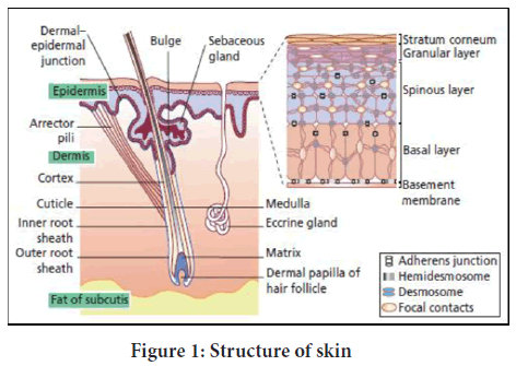 Structure