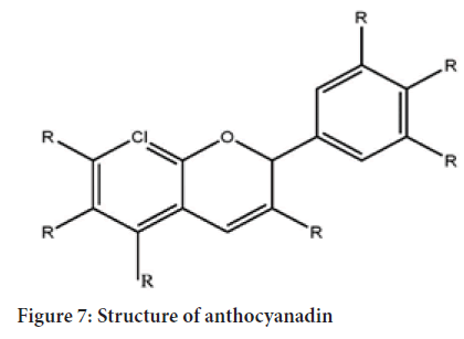 anthocyanadin