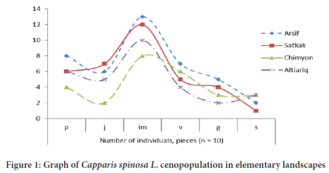 cenopopulation