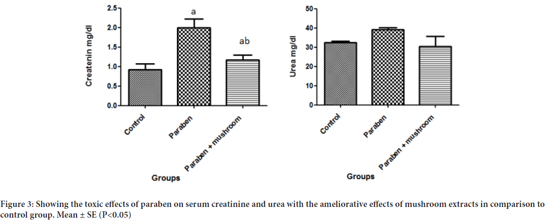 creatinine