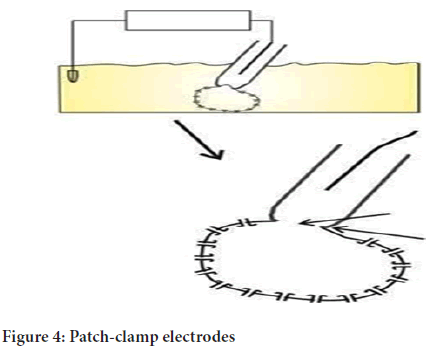 electrodes