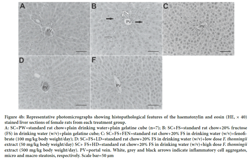 histopathological