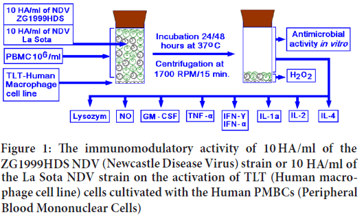 immunomodulatory