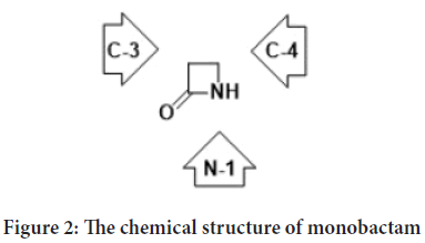 monobactam