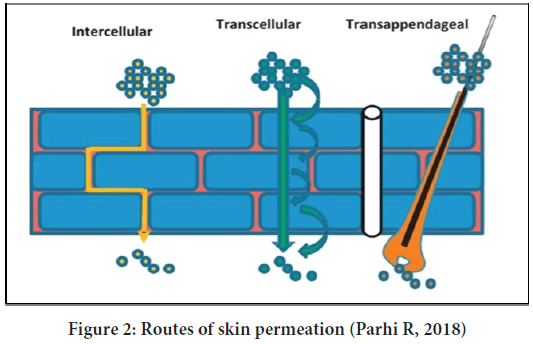 permeation