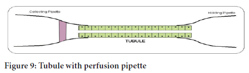 pipette