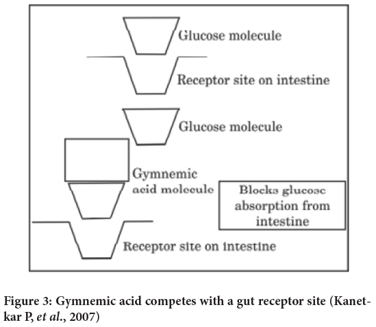 receptor