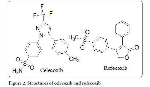 SystematicReviews-rofecoxib