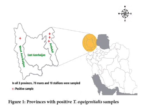 Sysrevpharm-diagram-positive