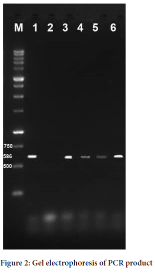 Sysrevpharm-diagram-positive