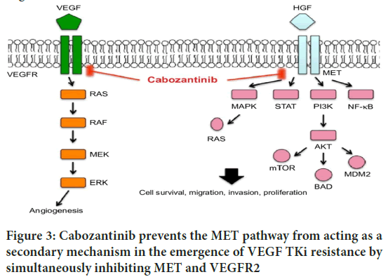 Cabozantinib