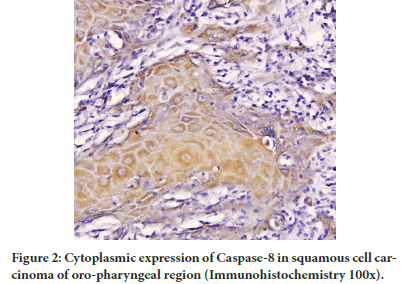 Cytoplasmic