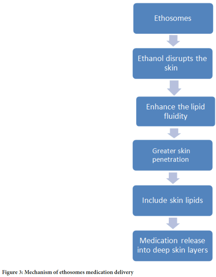 Mechanism