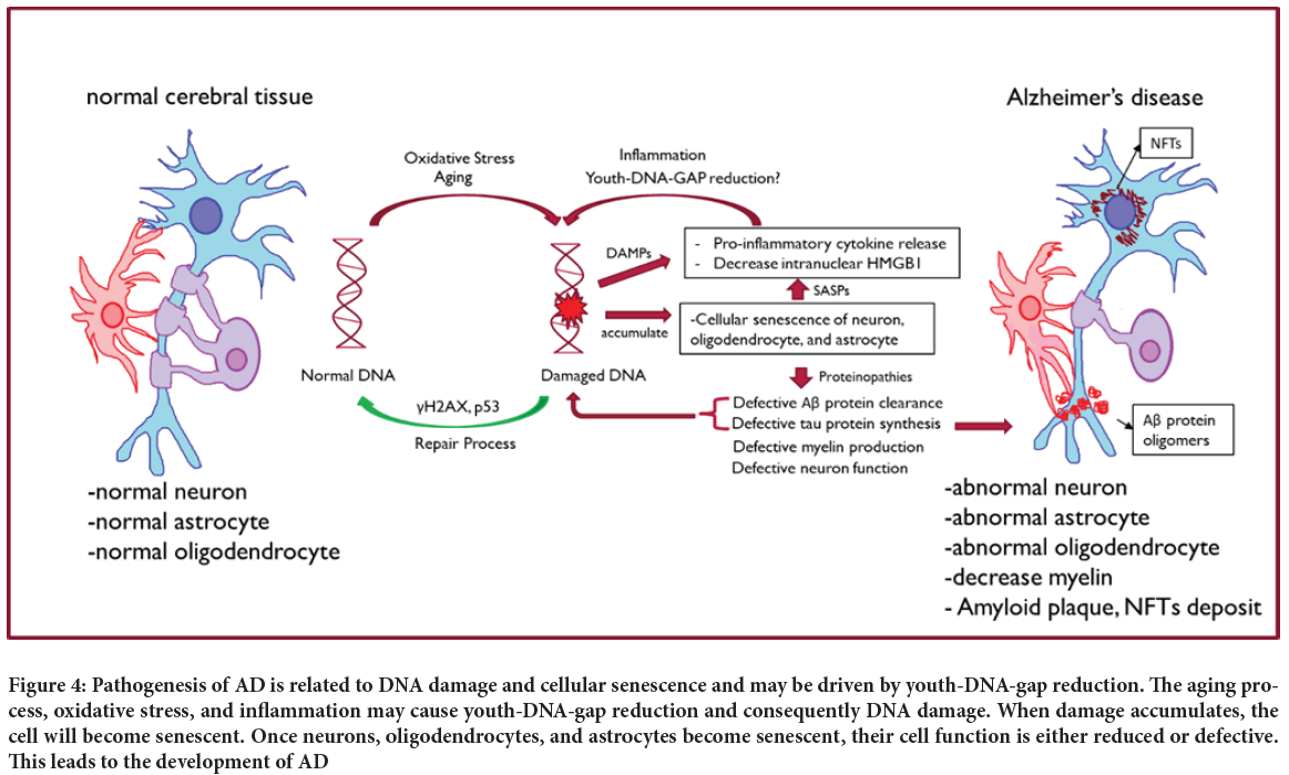 Pathogenesis