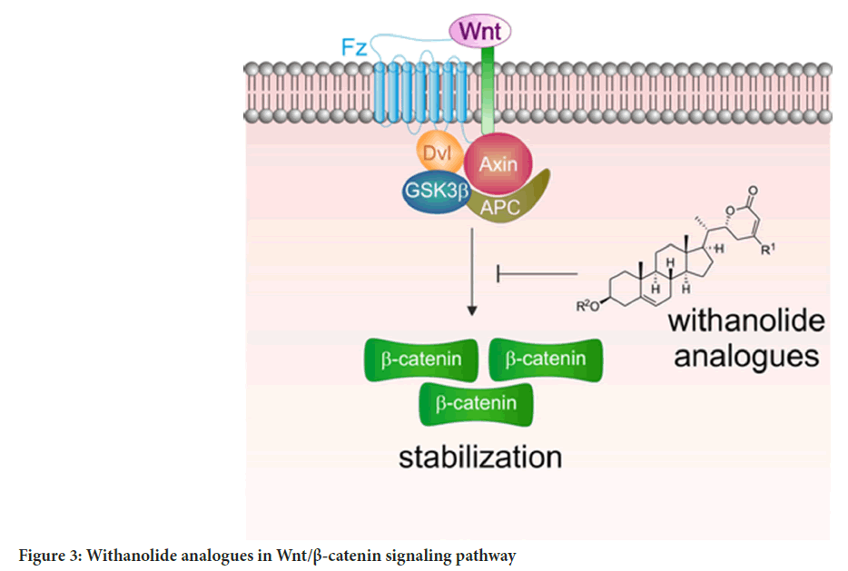 Withanolide