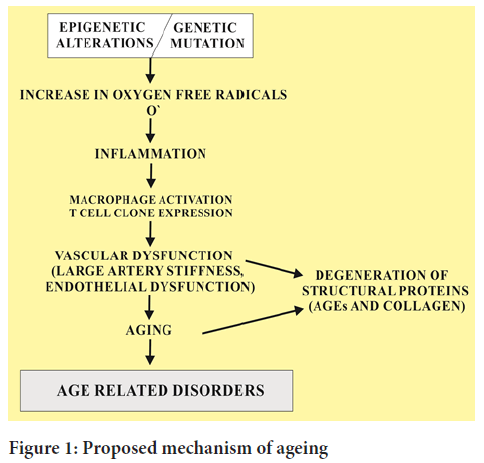 ageing