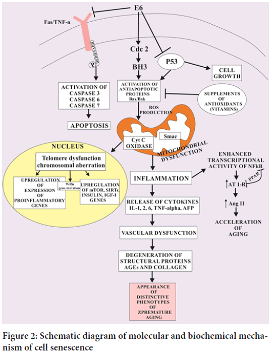 biochemical