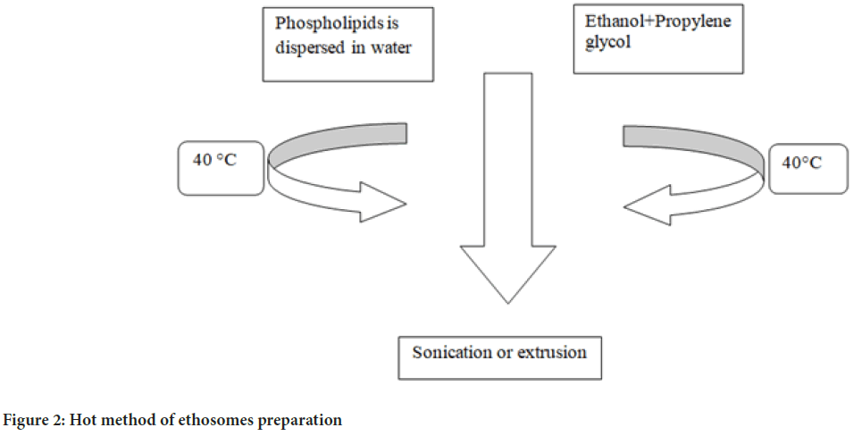 ethosomes