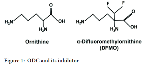 inhibitor