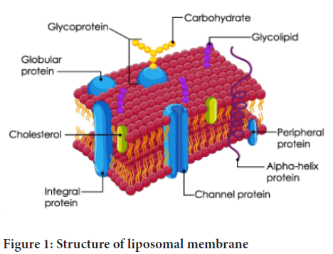 liposomal