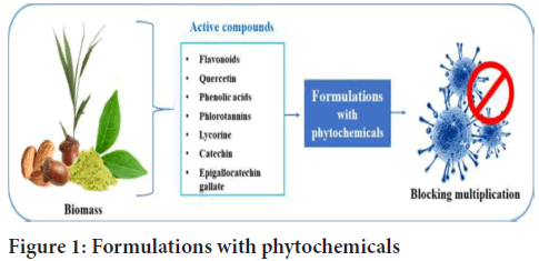 phytochemicals