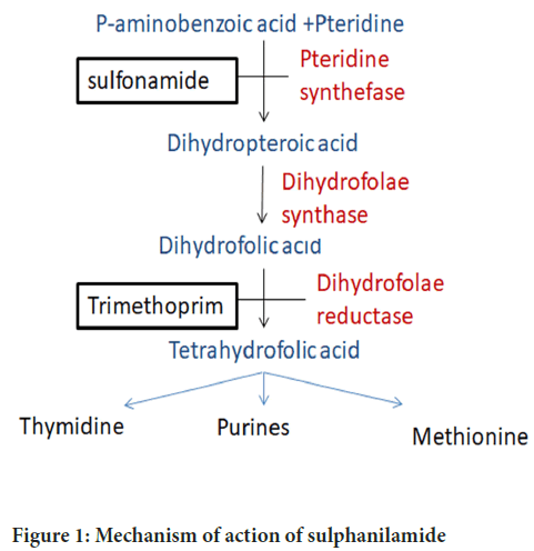 sulphanilamide